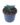 USP_Haworthia Cactus